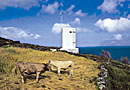 Azoren-Rundreisen/Bild aus dem aktuellen Seabreeze-Travel Katalog